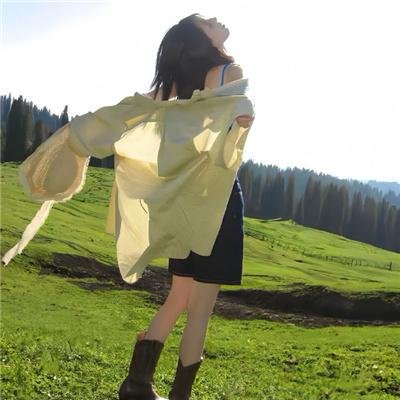 勇敢的翅膀